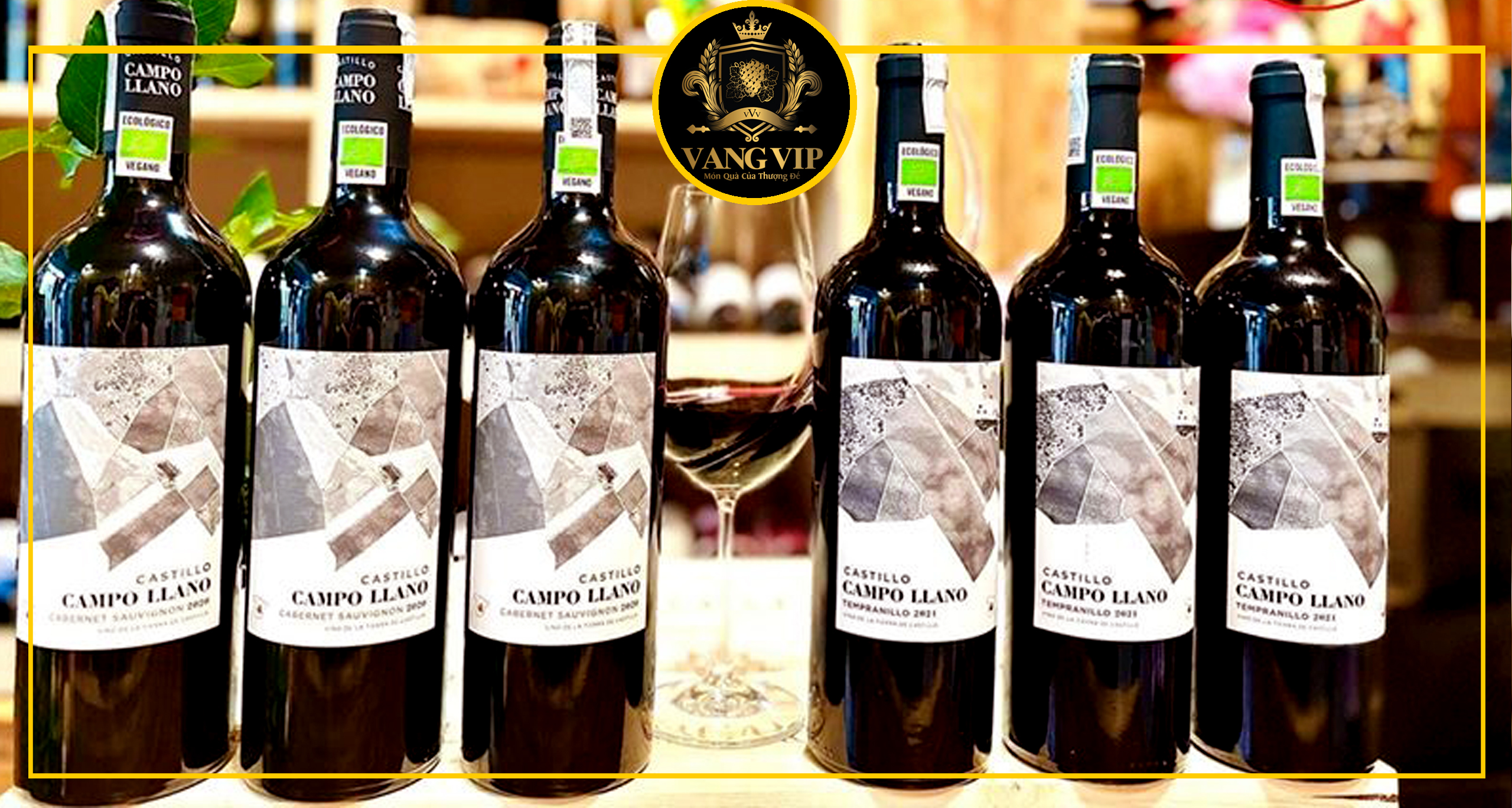Hình 1: Rượu vang Castillo Campo Llano Tempranillo-2 tại Vang Vip