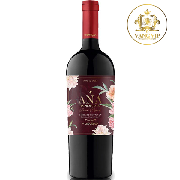 Bật mí 5 chai rượu vang Chile chất lượng, giá rẻ được yêu thích nhất tại Vang Vip