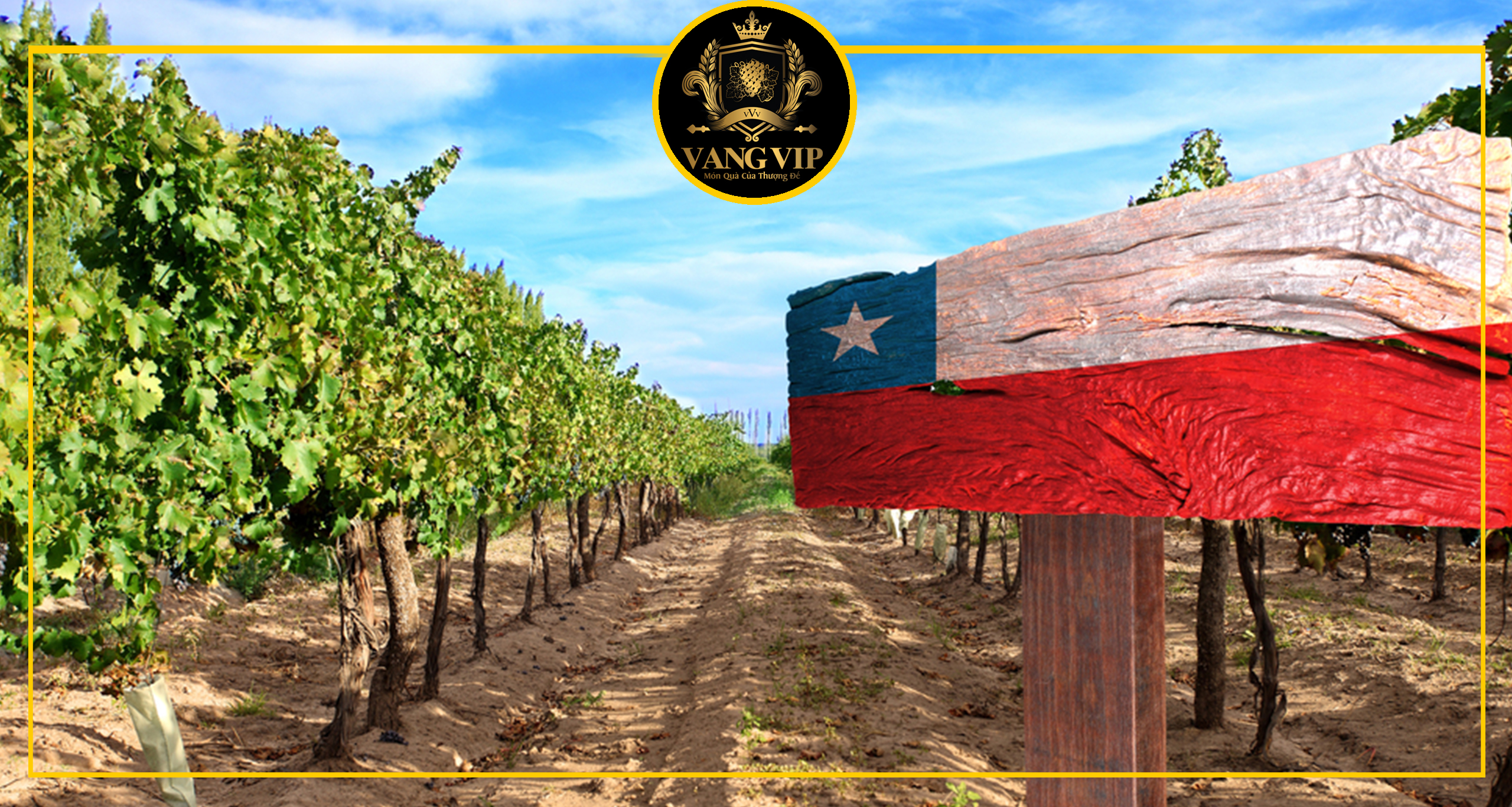 Khám phá những vùng trồng nho nổi tiếng tạo nên rượu vang Chile hảo hạng